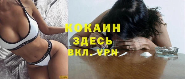 гидра Абаза