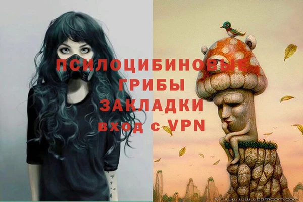 трава Абинск