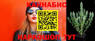 МДПВ Шахты