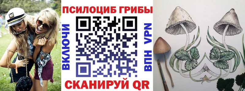 даркнет сайт  Нягань  mega   darknet телеграм  Псилоцибиновые грибы Psilocybine cubensis 