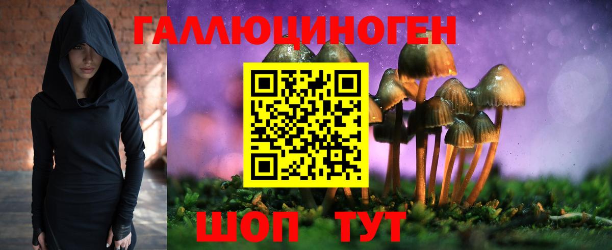 Галлюциногенные грибы Cubensis  как найти наркотики  Нягань  Вход с VPN 